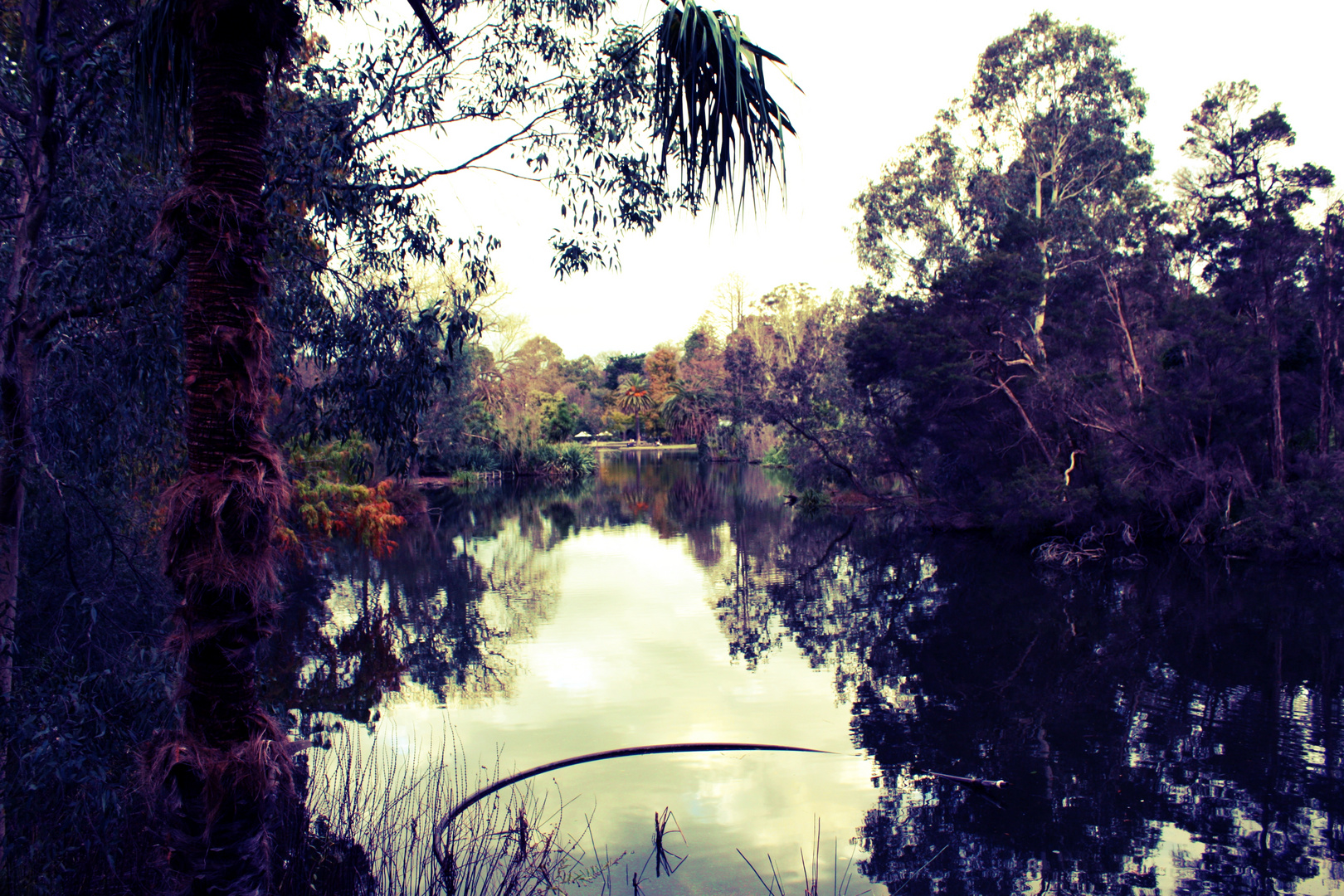 Royal Botanical Garden, Melbourne