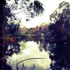 Royal Botanical Garden, Melbourne