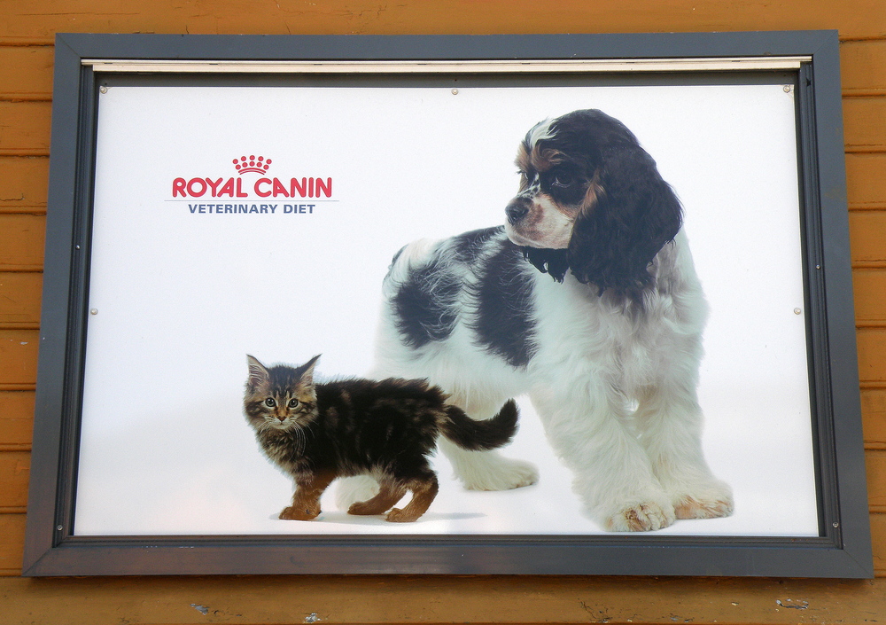 Royal Canin