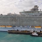 Royal Caribbean - Allure of the Seas