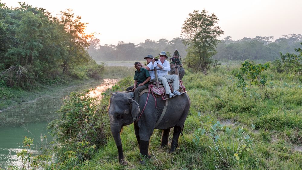 Royal Chitwan National Park Terai Nepal