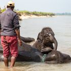 Royal Chitwan National Park Terai Nepal