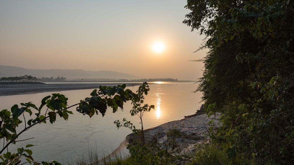 Royal Chitwan National Park Terai Nepal