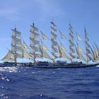 Royal Clipper