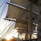 Royal Clipper 1