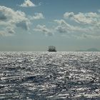 Royal Clipper