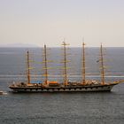 Royal Clipper