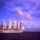 Royal Clipper