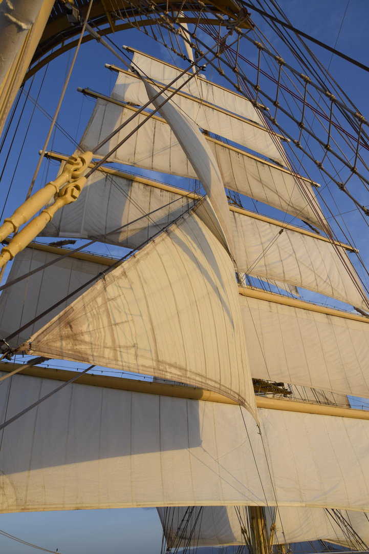 Royal Clipper - Ein Mast in der Abendsonne
