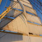 Royal Clipper - Ein Mast in der Abendsonne