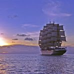 Royal Clipper sailing into the night