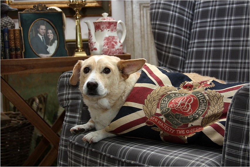 ROYAL - CORGI .... N° 3