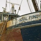 Royal Fundy im Dock