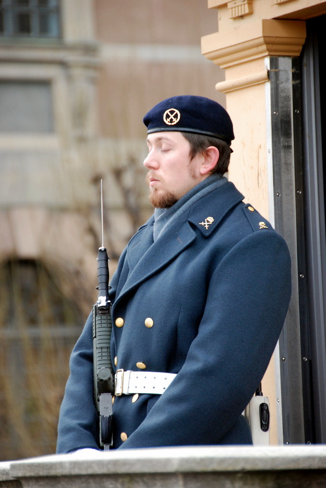 Royal Guard at Work