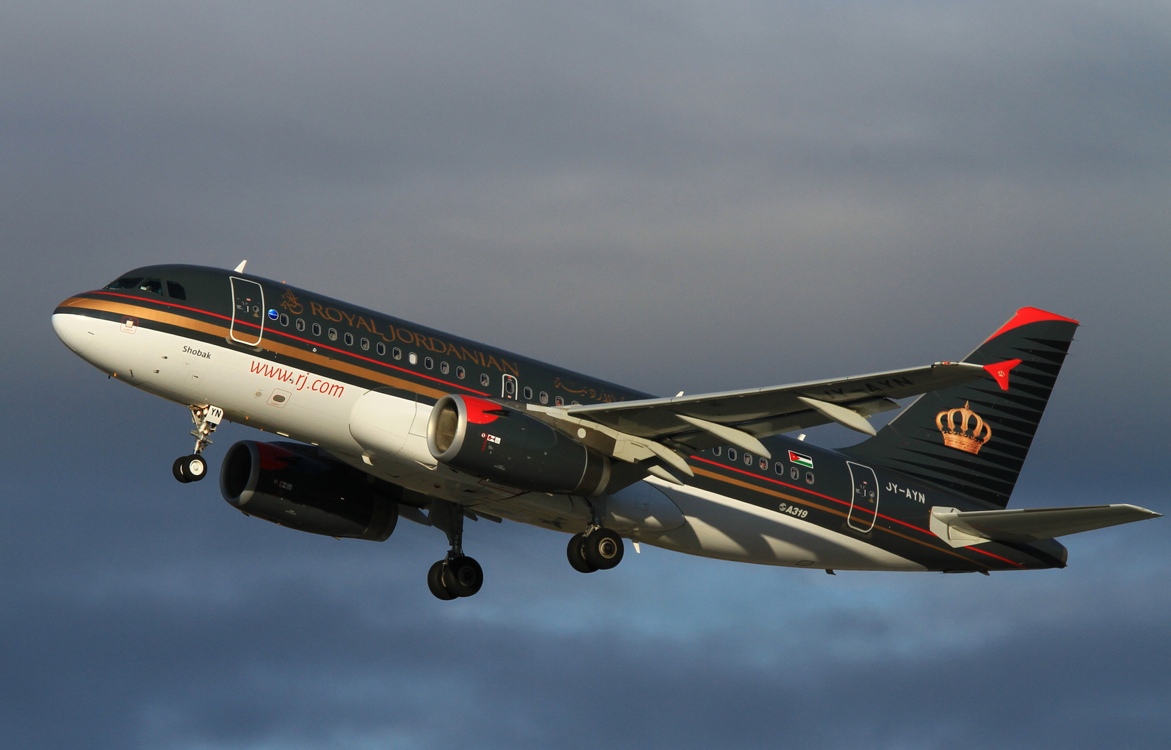 Royal Jordanian Airbus A319-132