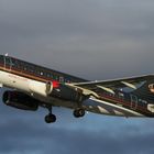 Royal Jordanian Airbus A319-132