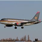 Royal Jordanian Airbus A319