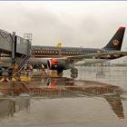 ...Royal Jordanian.....