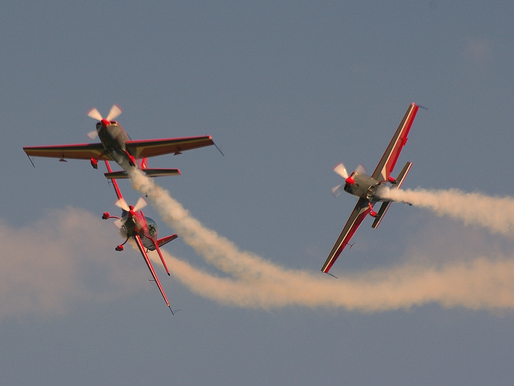 "Royal Jordanian Falcons"  (3 von 4)