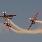 "Royal Jordanian Falcons"  (3 von 4)