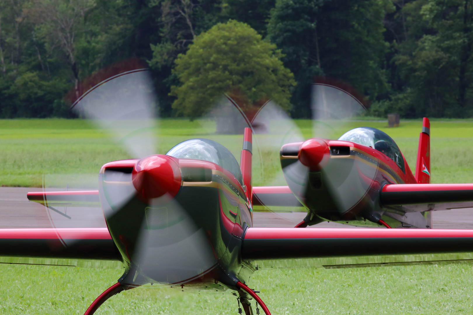 Royal Jordanian Falcons