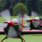 Royal Jordanian Falcons