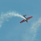 Royal Jordanian Falcons 4