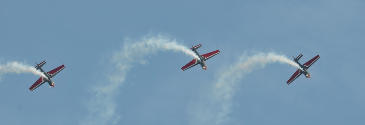 Royal Jordanian Falcons 4