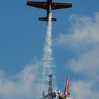 Royal Jordanian Falcons