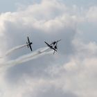 Royal Jordanian Falcons