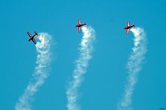 ~ Royal Jordanian Falcons III ~