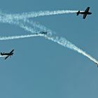 ~ Royal Jordanian Falcons IV ~