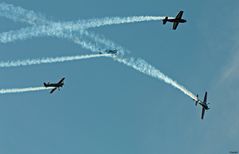 ~ Royal Jordanian Falcons IV ~