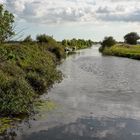 Royal Military Canal