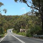 Royal National Park südlich von Sydney