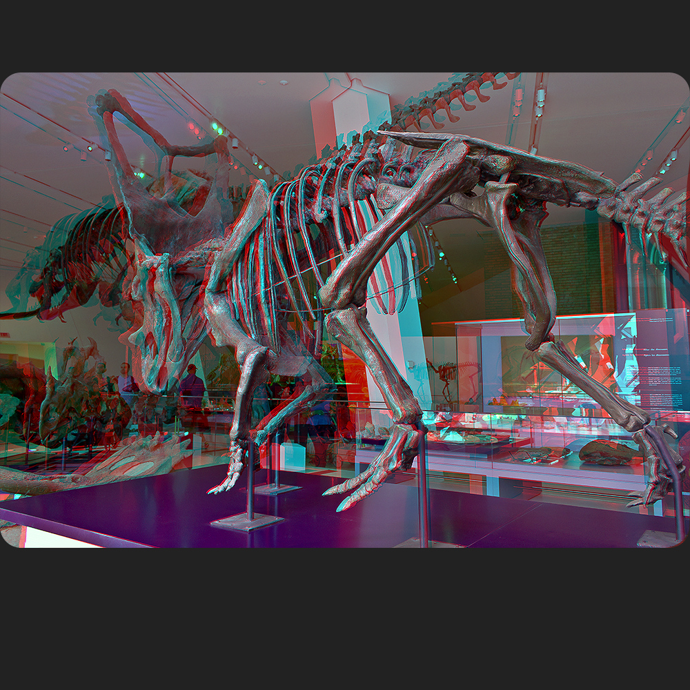 Royal Ontario Museum 3-D