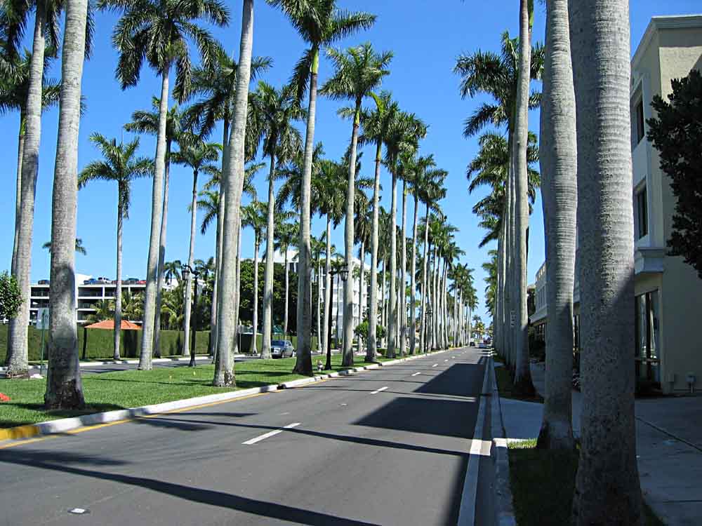 Royal Palm Way in Palm Beach