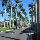 Royal Palm Way in Palm Beach