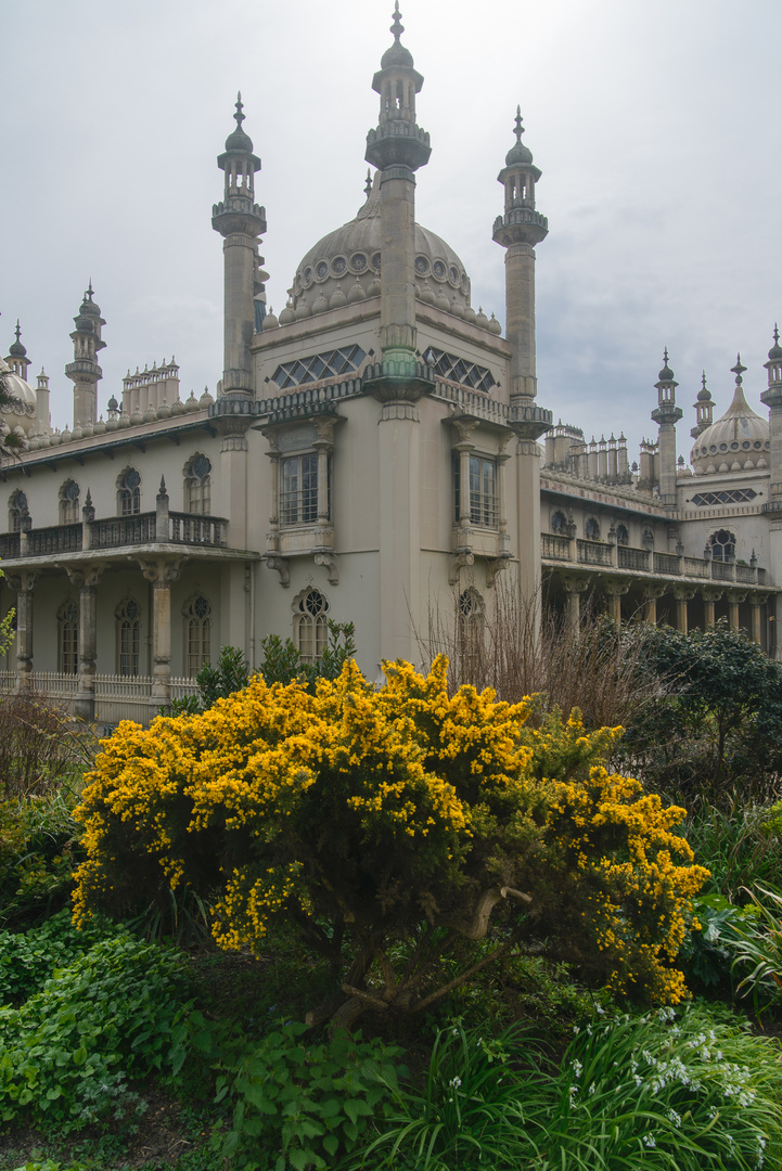 [ Royal Pavilion 2 ]