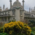 [ Royal Pavilion 2 ]