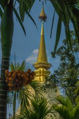 Royal Temple II - Nähe Chiang Mai/Nordthailand