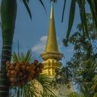 Royal Temple II - Nähe Chiang Mai/Nordthailand