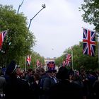 Royal wedding crowds