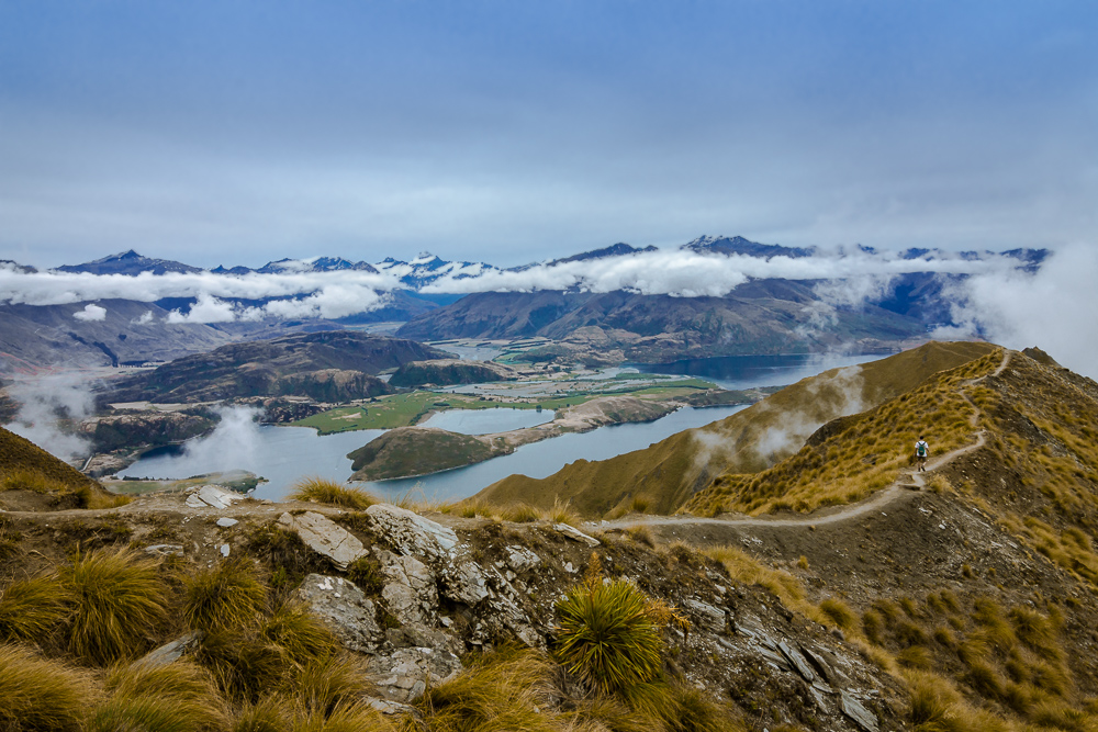 Roys Peak