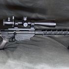 RPR, Ruger Precision Rifle, Cal .308