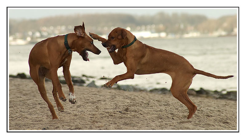 RR am Strand