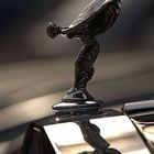 RR spirit of ecstasy