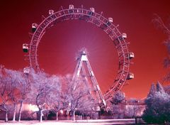 RRR - Rotes RiesenRad