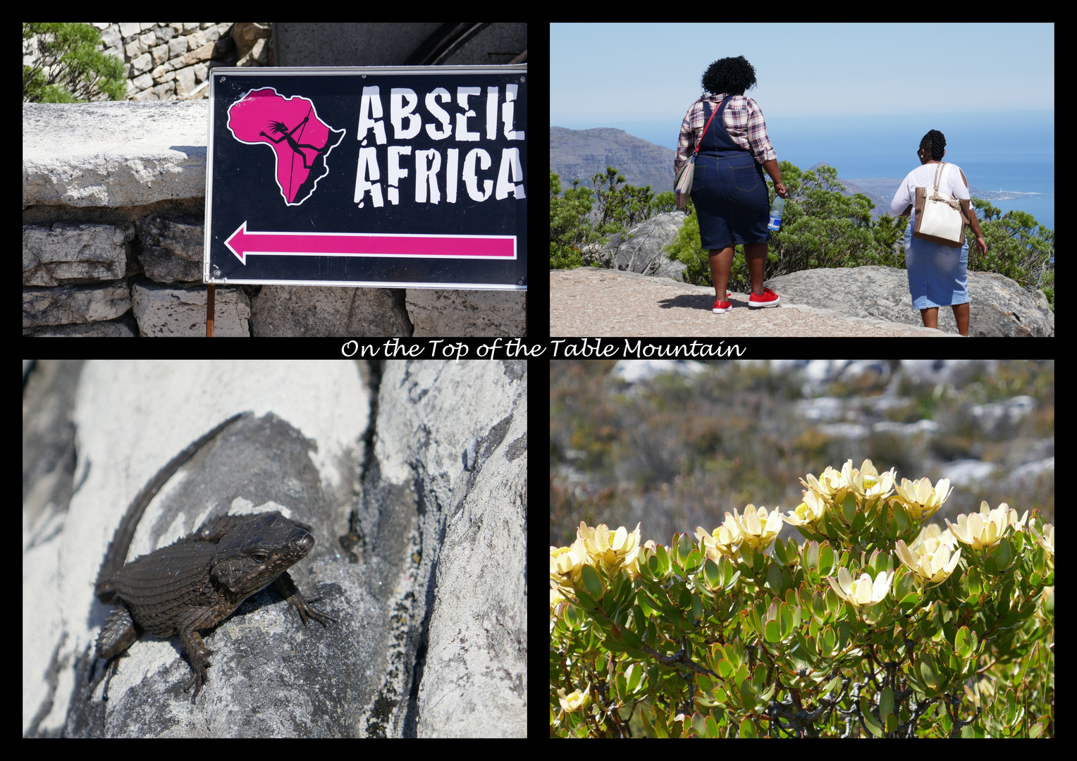 RSA 99: On the Top of the Table Mountain