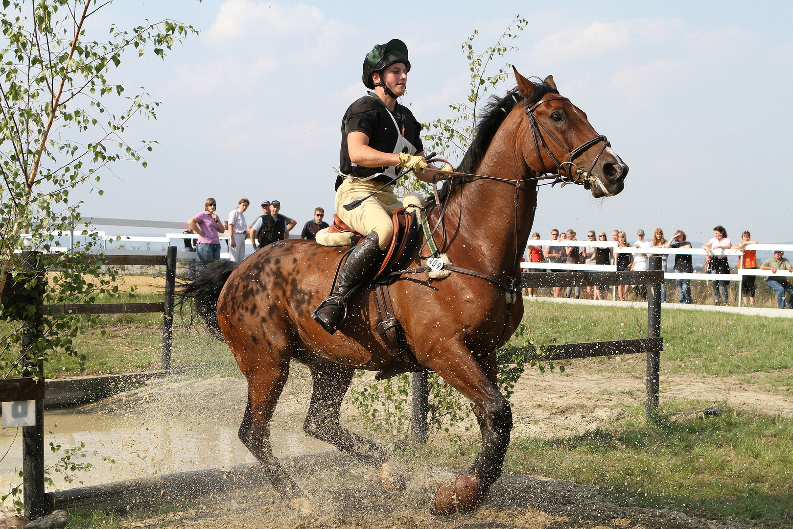 RSG Dornberger Heide Herford-Schwarzenmoor Turnier